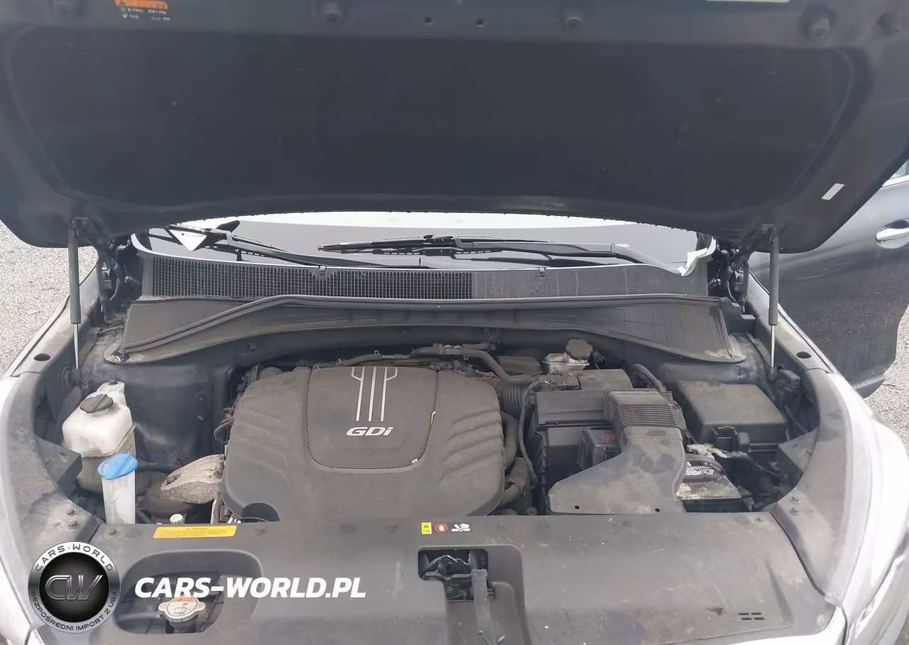 2016 Kia Sorento 3.3L Ex VIN:5XYPH4A57GG186309 - 10