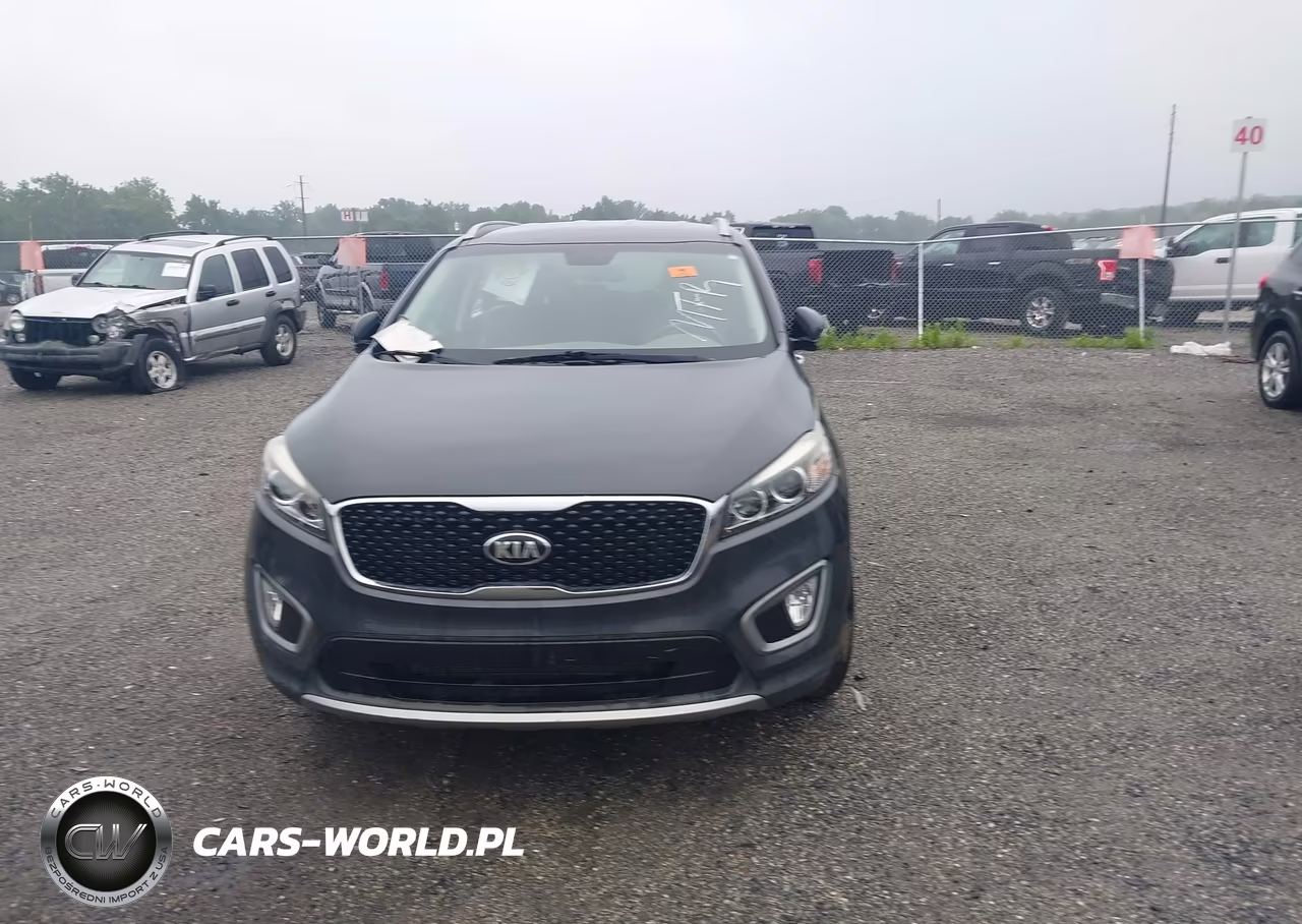 2016 Kia Sorento 3.3L Ex VIN:5XYPH4A57GG186309 - 12