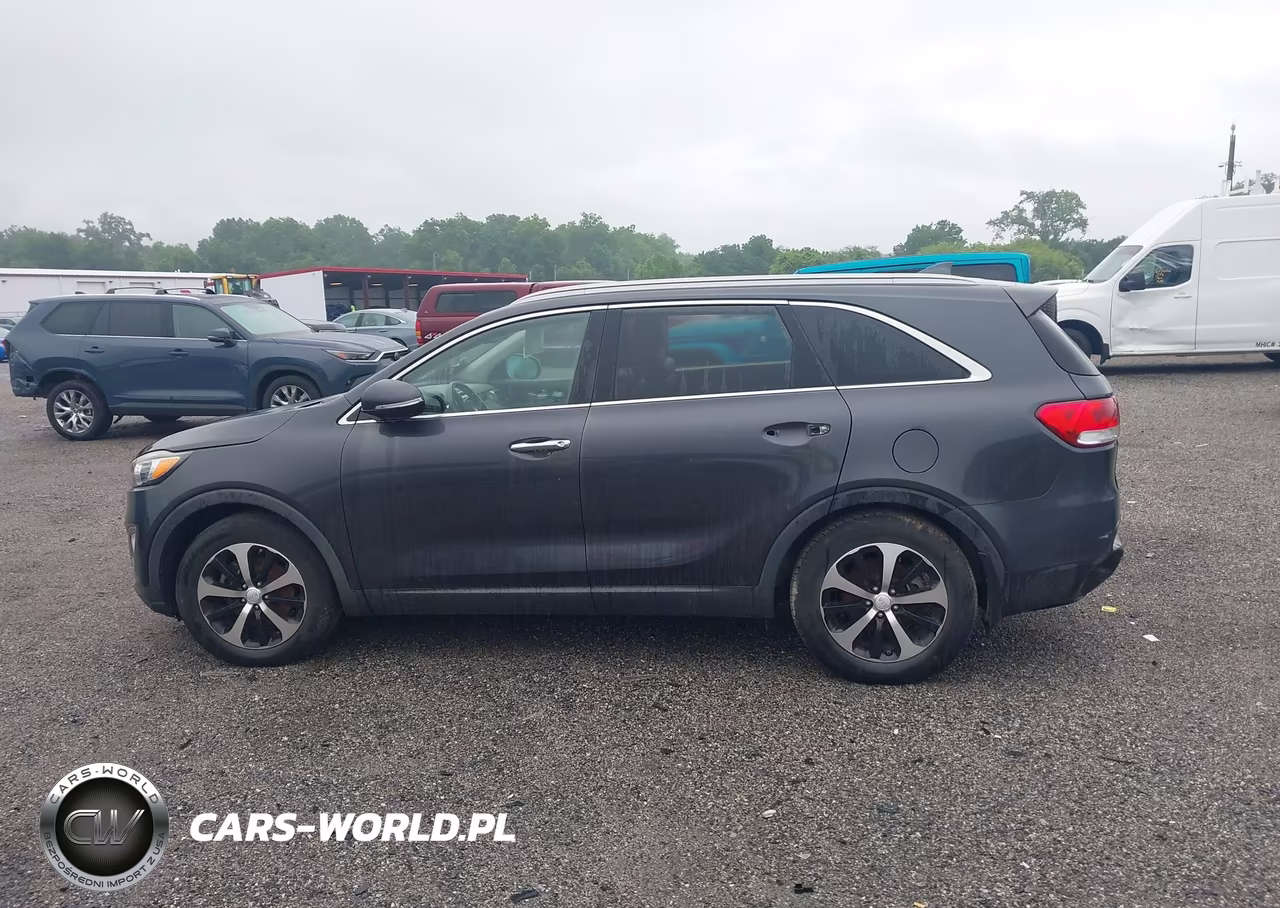 2016 Kia Sorento 3.3L Ex VIN:5XYPH4A57GG186309 - 14