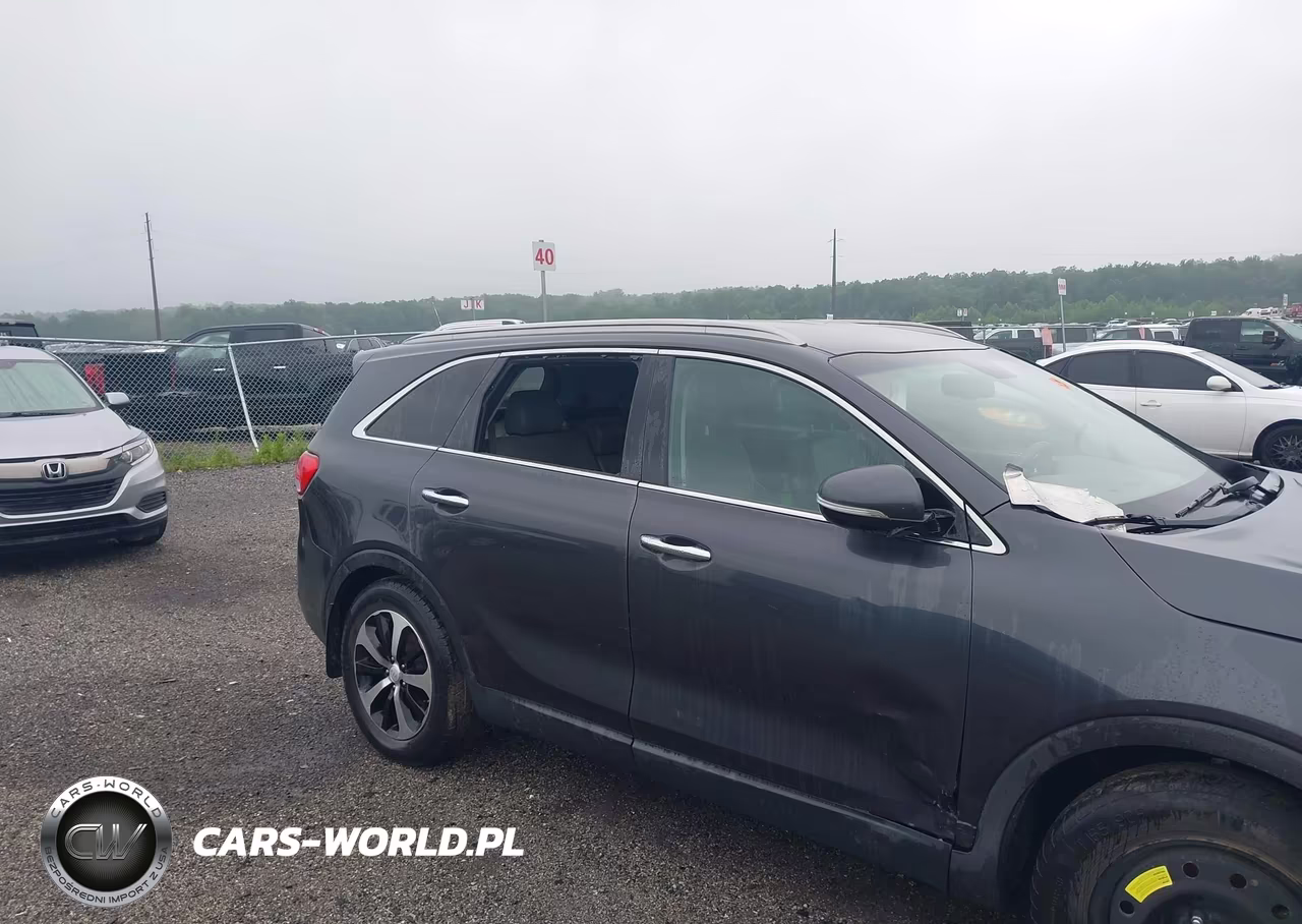 2016 Kia Sorento 3.3L Ex VIN:5XYPH4A57GG186309 - 6
