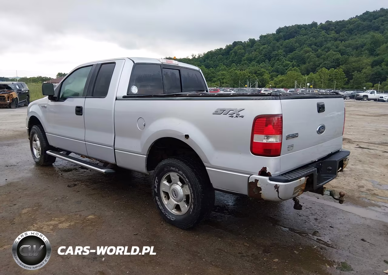 2004 Ford F-150 Stx-Xl-Xlt VIN:1FTRX14W24NB41474 - 3