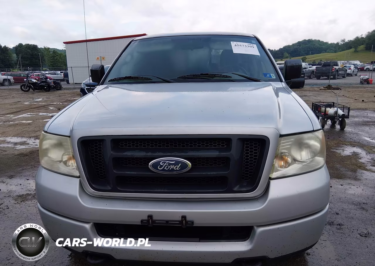 2004 Ford F-150 Stx-Xl-Xlt VIN:1FTRX14W24NB41474 - 6