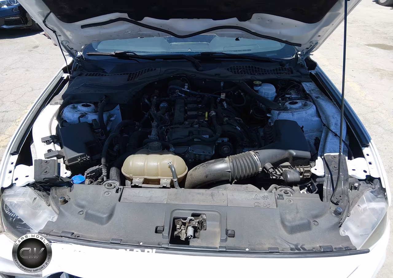 2021 Ford Mustang Ecoboost Premium VIN:1FATP8UH9M5121356 - 10