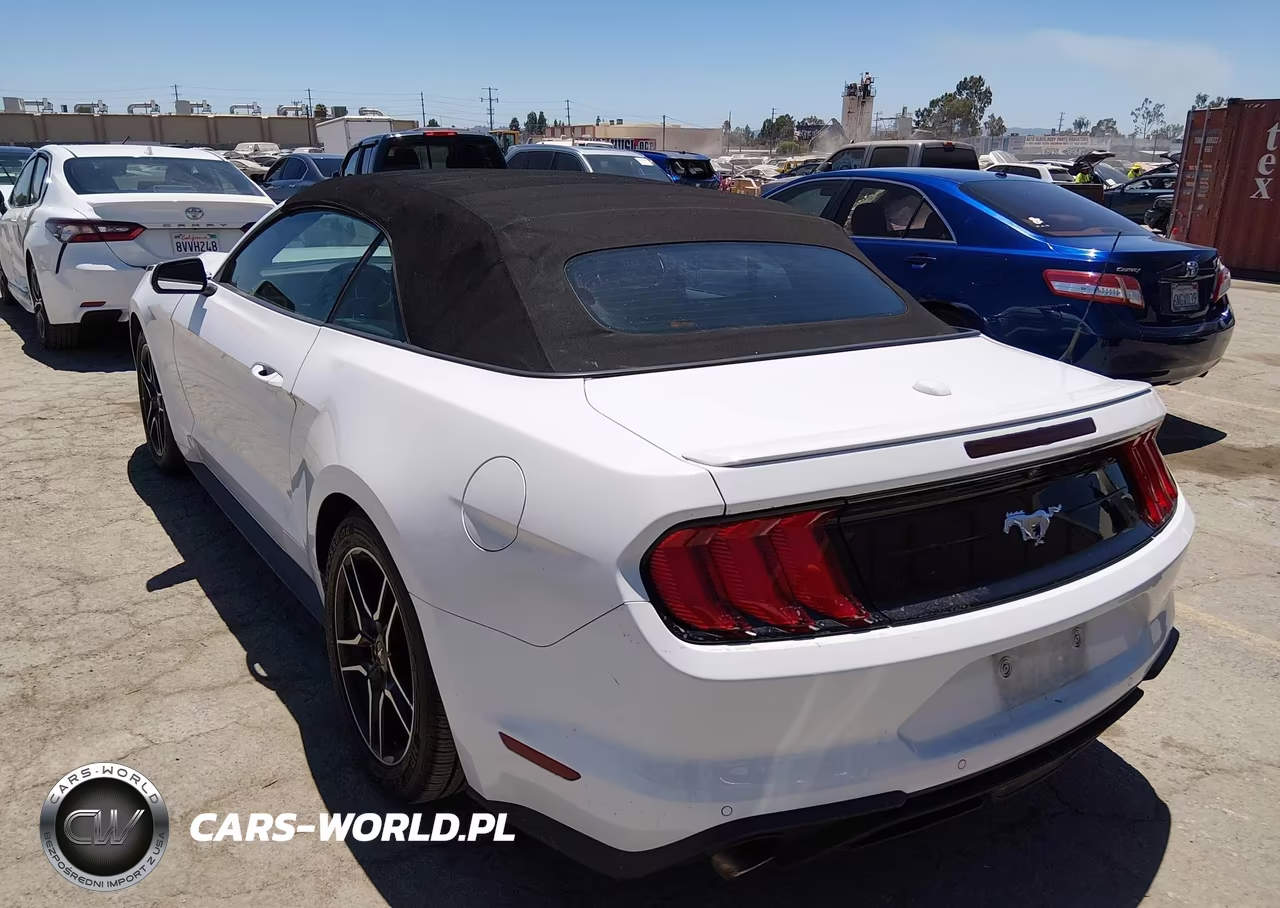 2021 Ford Mustang Ecoboost Premium VIN:1FATP8UH9M5121356 - 3