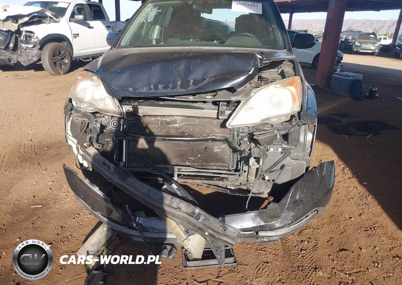 2008 Honda Cr-V Ex-L VIN:JHLRE38798C043955 - 6