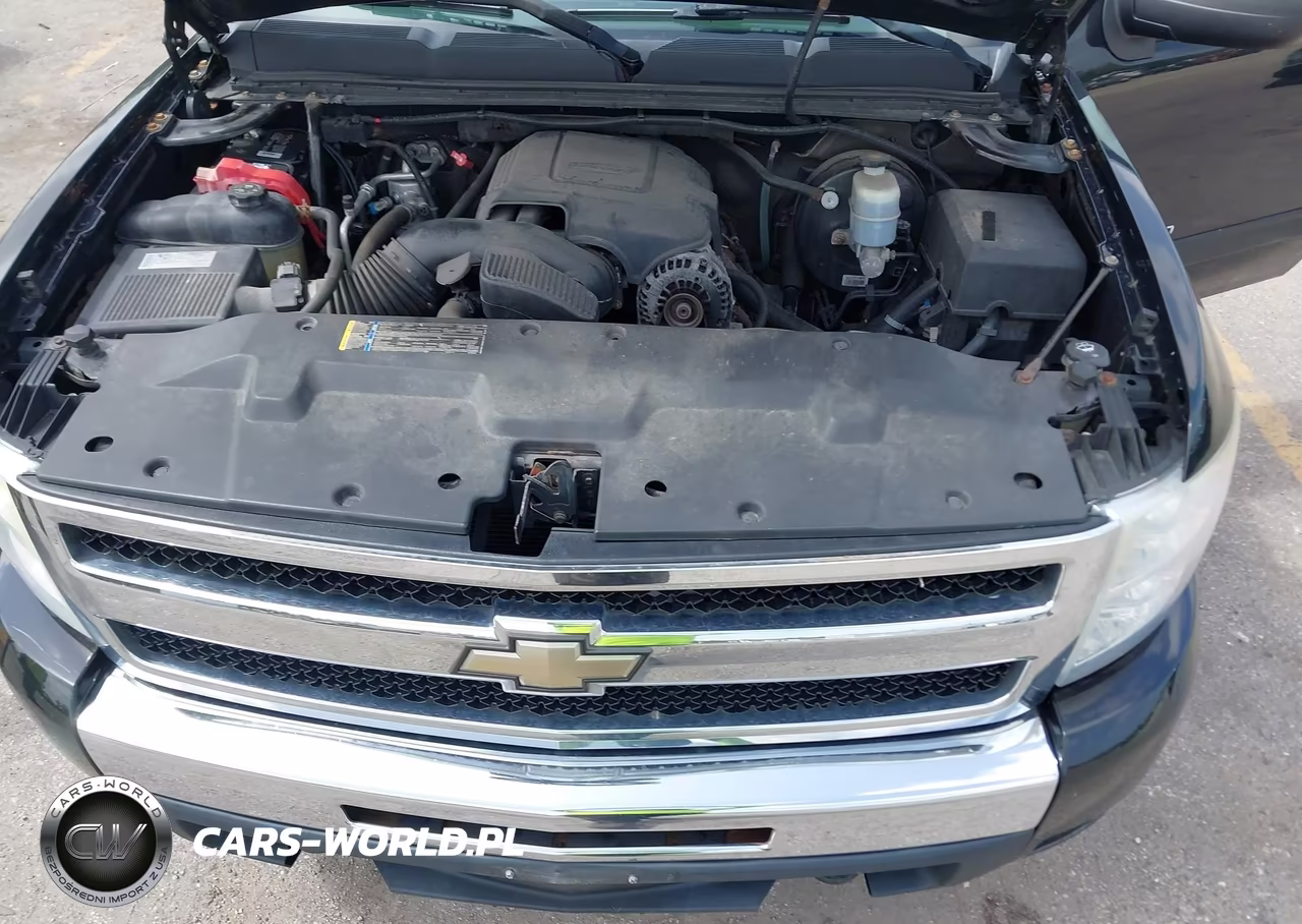 2009 Chevrolet Silverado 1500 Lt VIN:1GCEK24J89Z237794 - 10