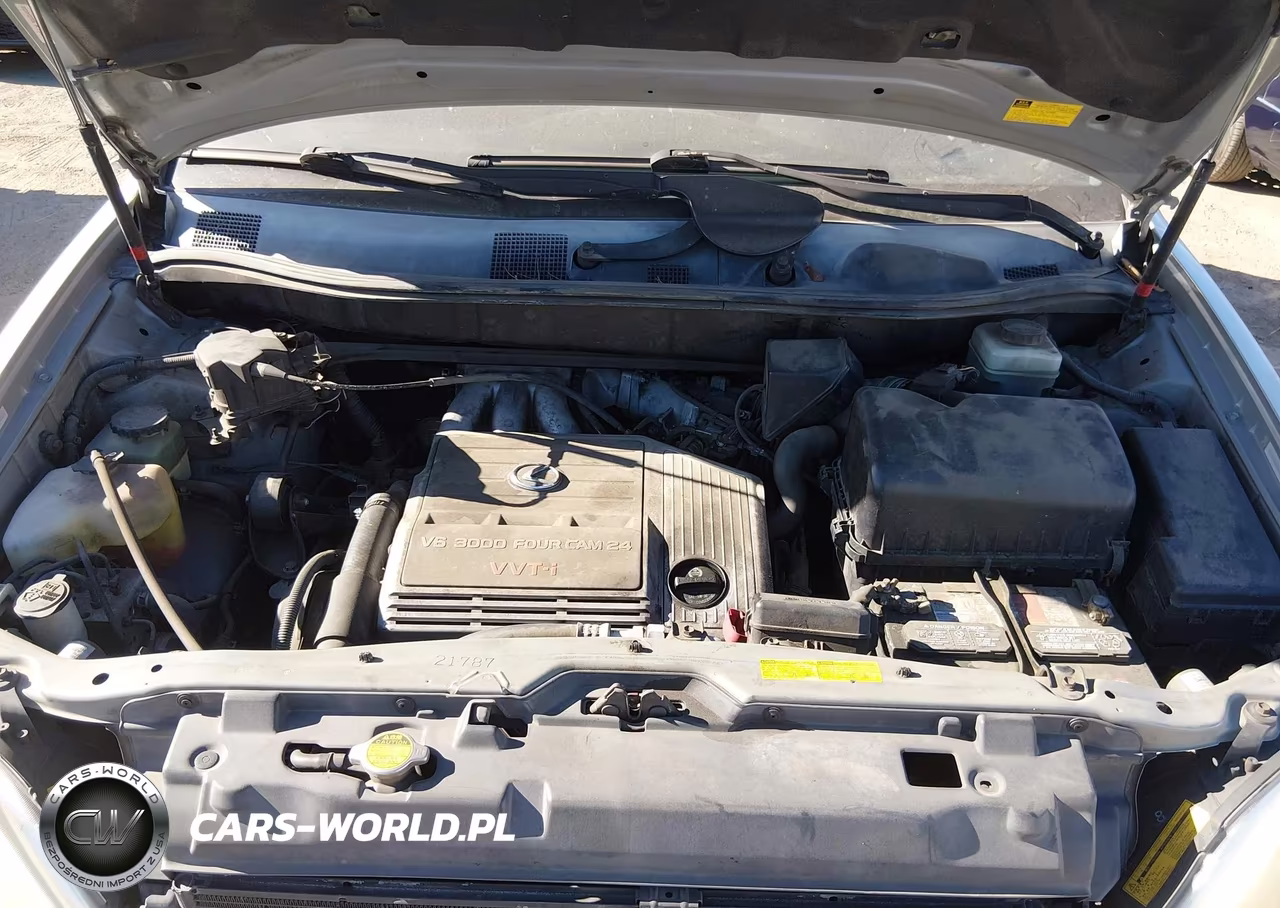 2001 Lexus Rx 300 VIN:JTJGF10U210107121 - 10