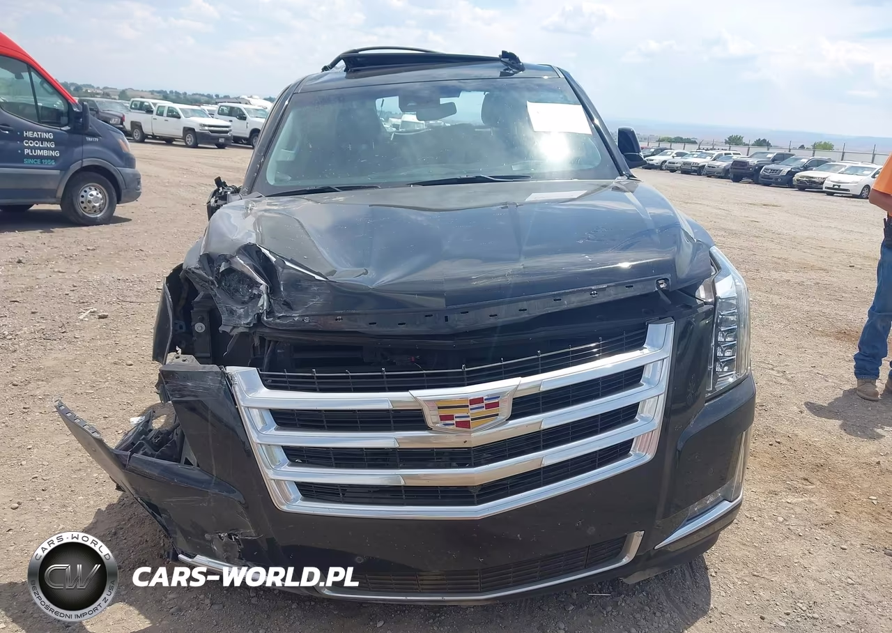 2019 Cadillac Escalade Luxury VIN:1GYS4BKJ6KR405027 - 12