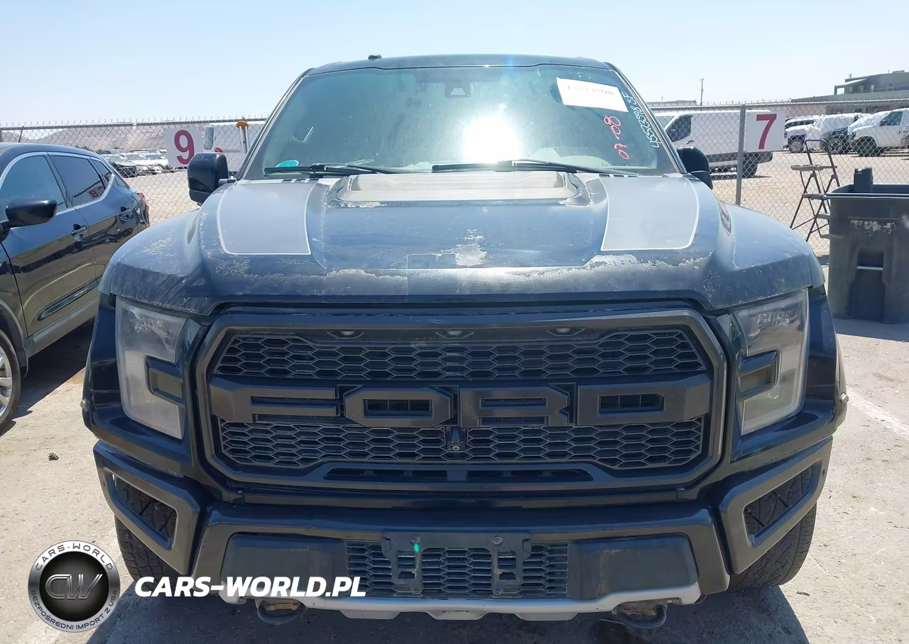 2018 Ford F-150 Raptor VIN:1FTFW1RG9JFE46063 - 13