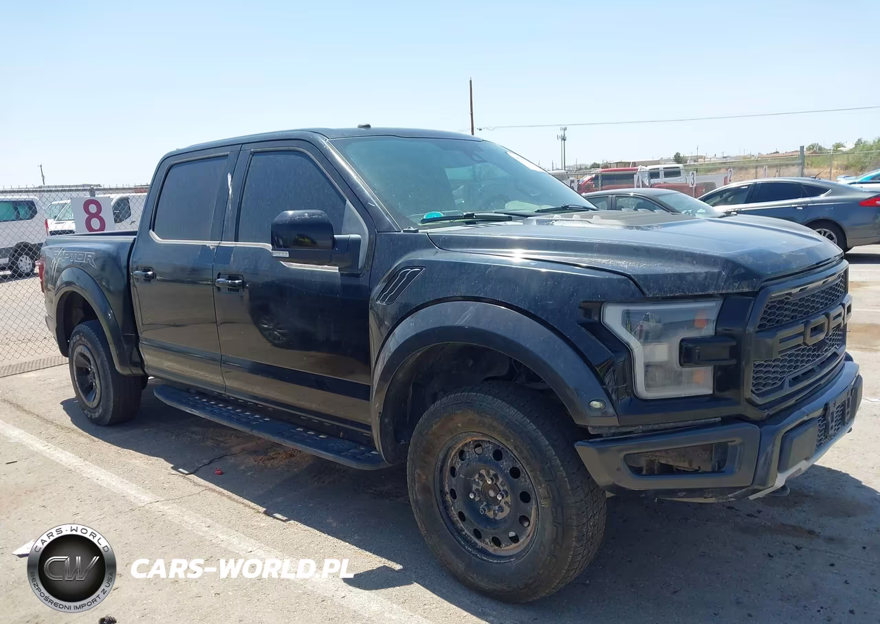 2018 Ford F-150 Raptor VIN:1FTFW1RG9JFE46063 - 14