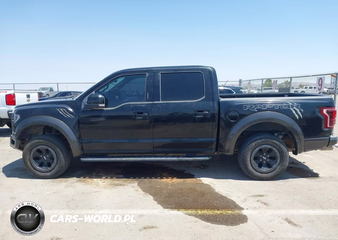 2018 Ford F-150 Raptor VIN:1FTFW1RG9JFE46063 - 15