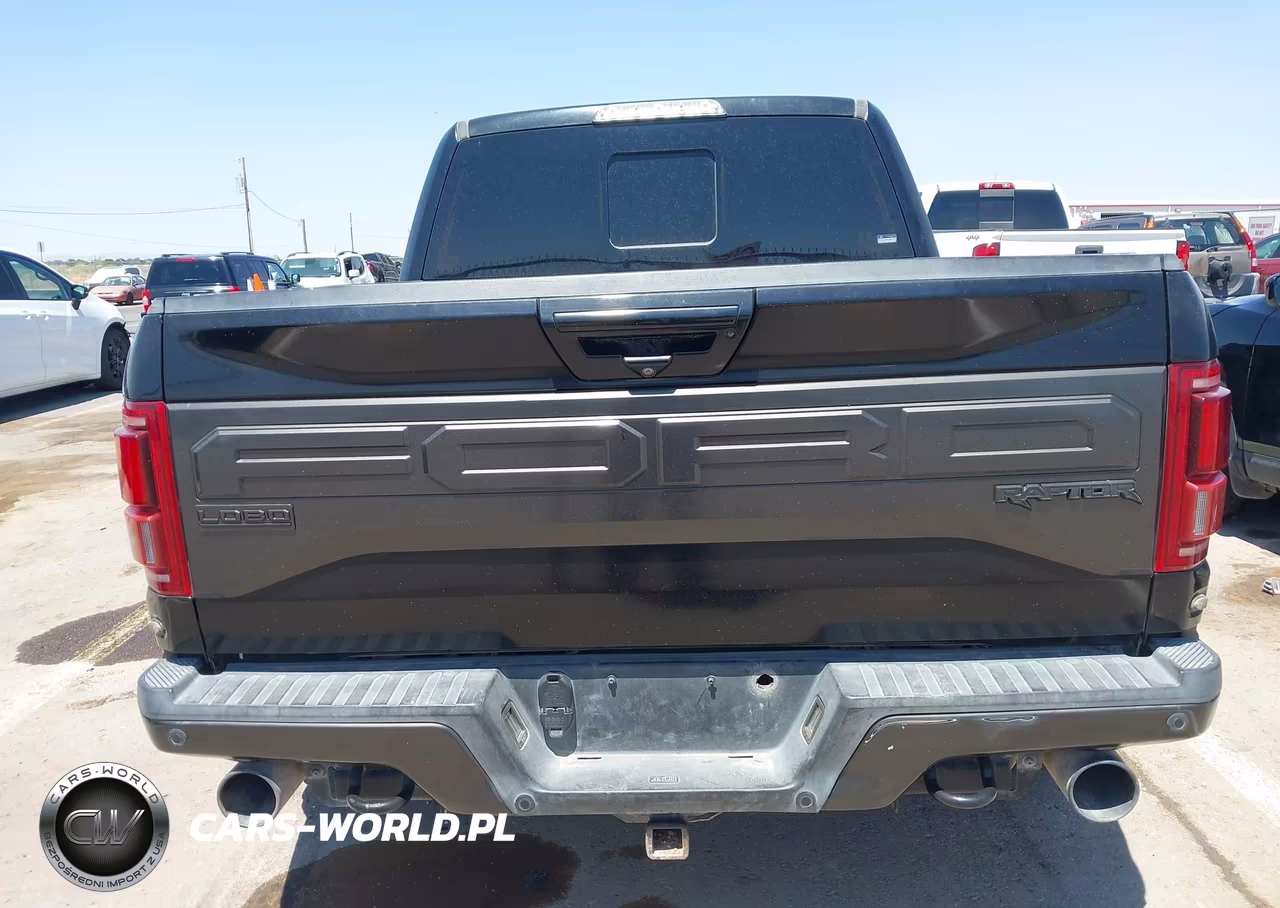 2018 Ford F-150 Raptor VIN:1FTFW1RG9JFE46063 - 17