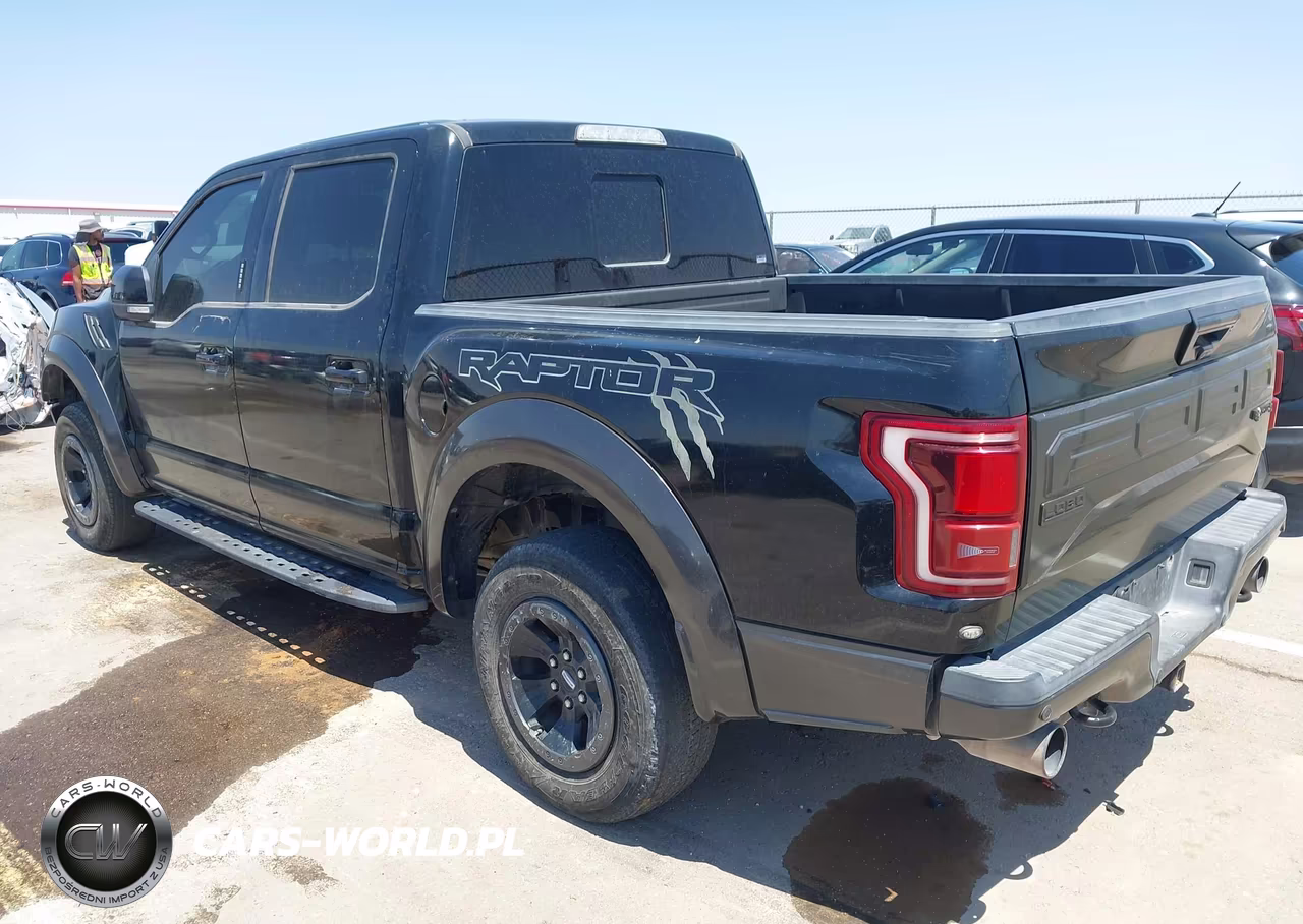 2018 Ford F-150 Raptor VIN:1FTFW1RG9JFE46063 - 3