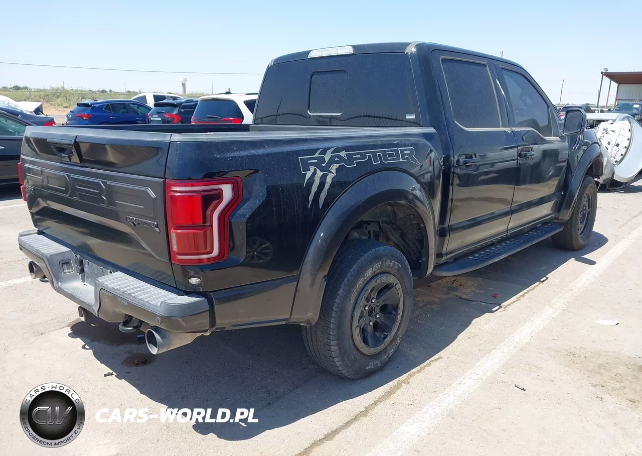 2018 Ford F-150 Raptor VIN:1FTFW1RG9JFE46063 - 4