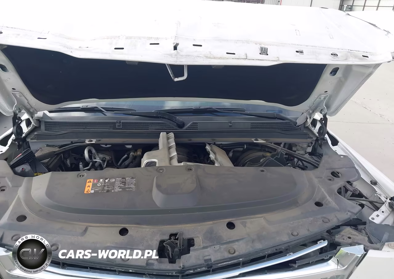 2020 Cadillac Escalade 4Wd Platinum VIN:1GYS4DKJ7LR252722 - 10