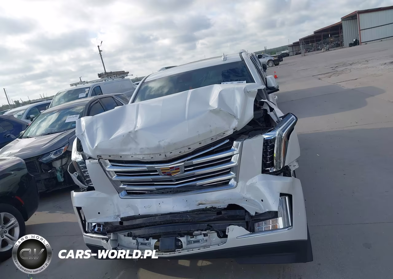 2020 Cadillac Escalade 4Wd Platinum VIN:1GYS4DKJ7LR252722 - 13