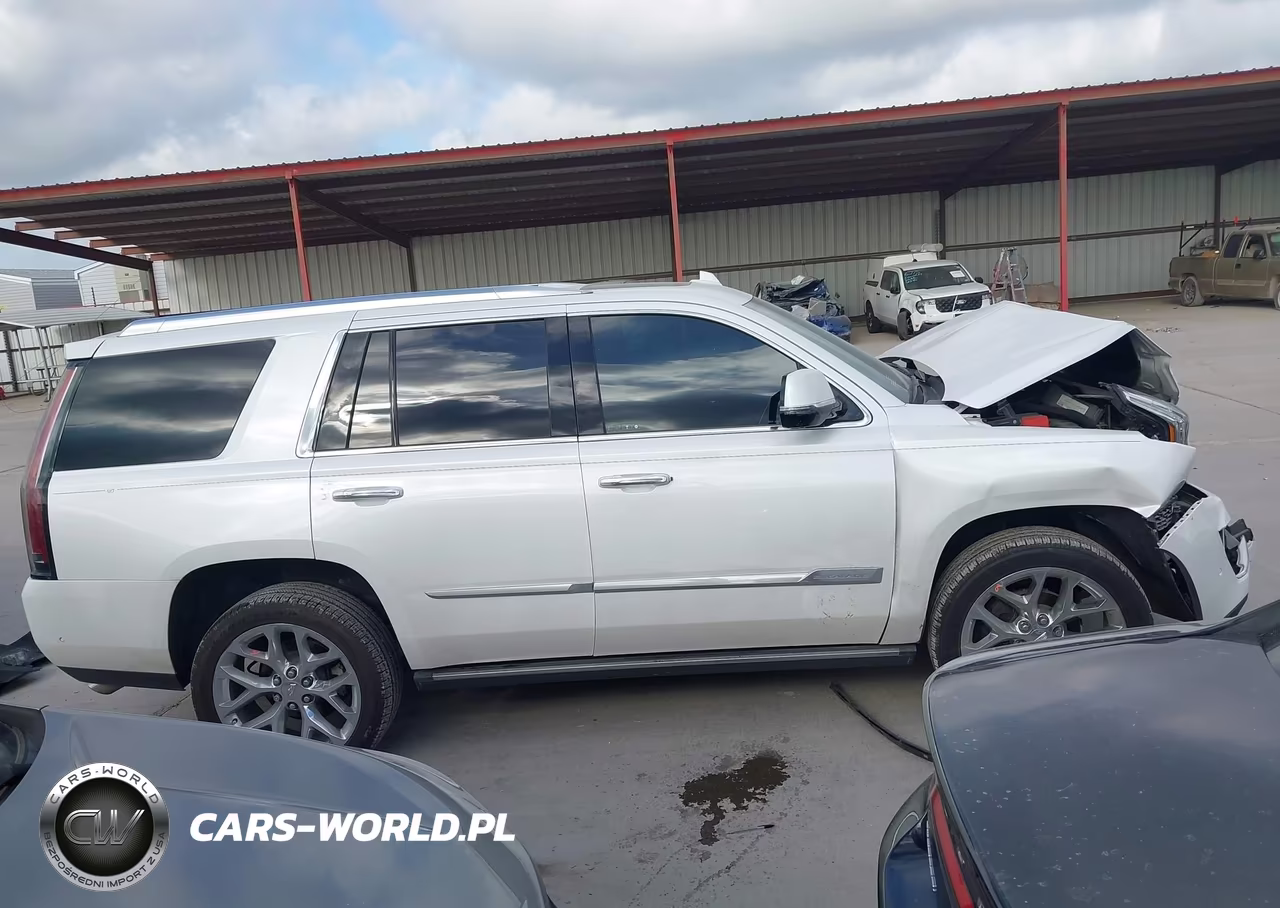 2020 Cadillac Escalade 4Wd Platinum VIN:1GYS4DKJ7LR252722 - 14