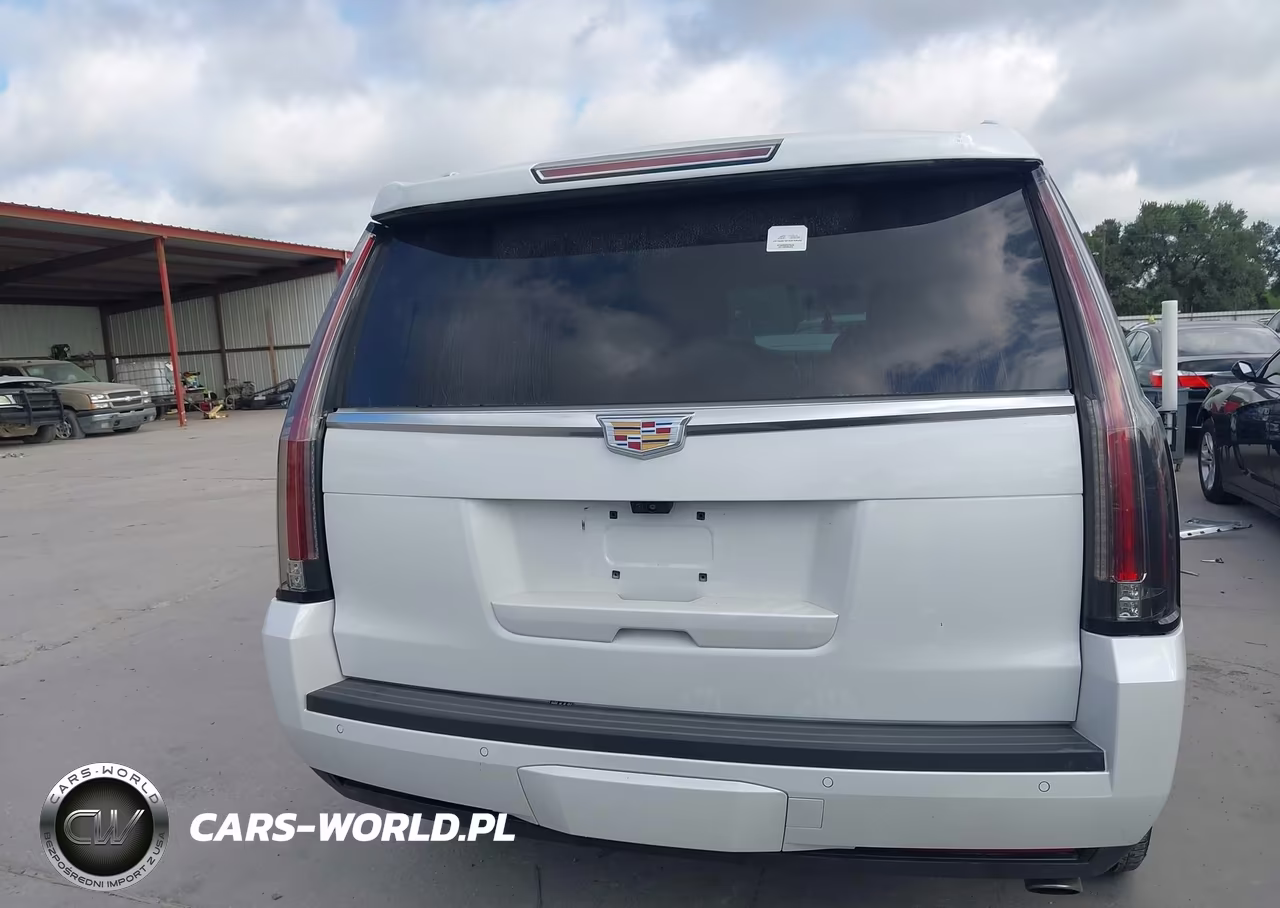 2020 Cadillac Escalade 4Wd Platinum VIN:1GYS4DKJ7LR252722 - 17