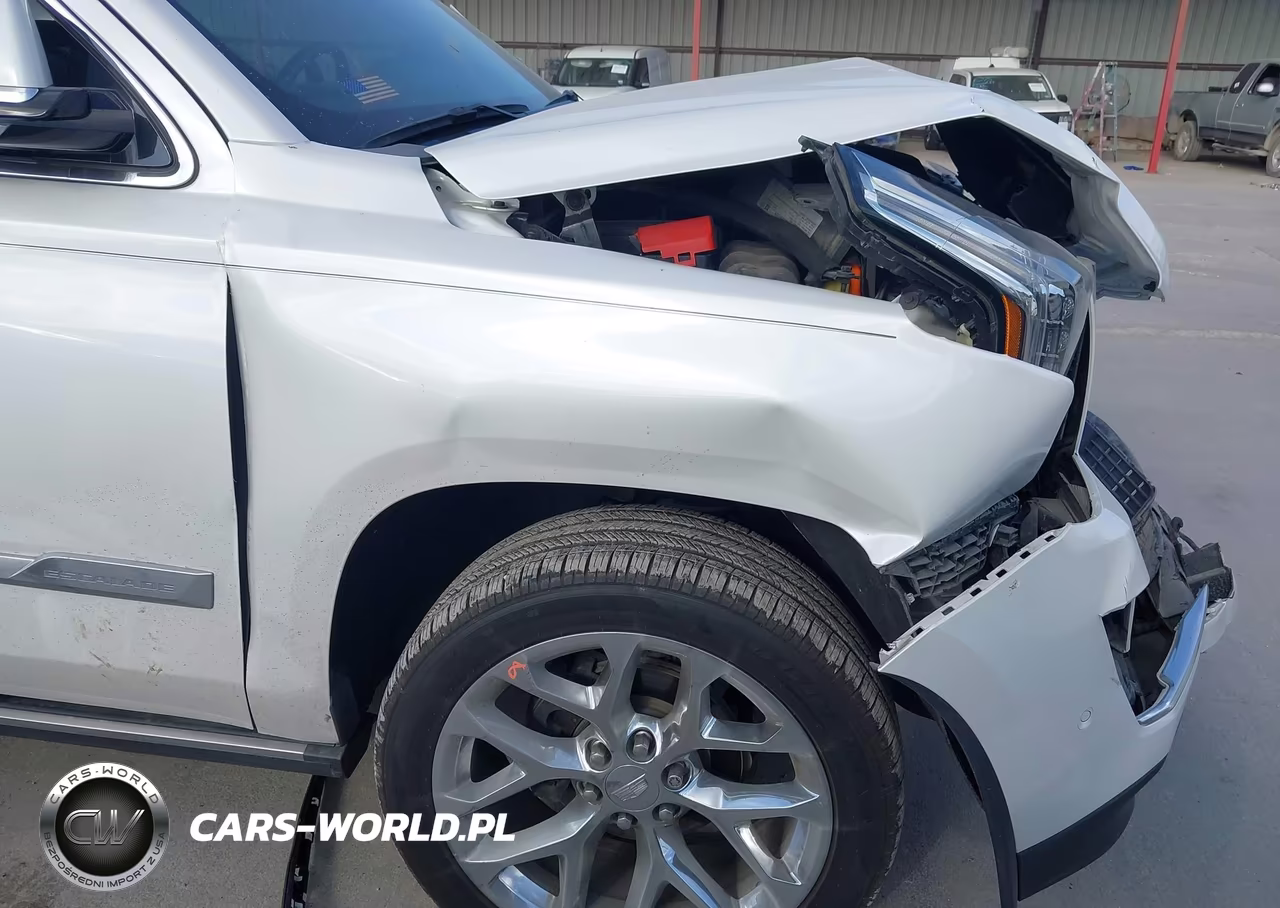 2020 Cadillac Escalade 4Wd Platinum VIN:1GYS4DKJ7LR252722 - 6