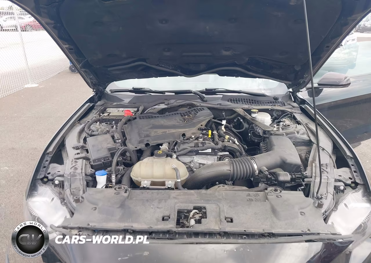 2022 Ford Mustang Ecoboost Premium VIN:1FATP8UH5N5102076 - 10