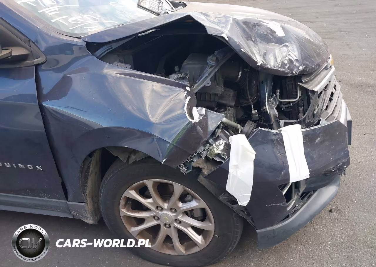 2018 Chevrolet Equinox Ls VIN:3GNAXHEV5JL329260 - 12