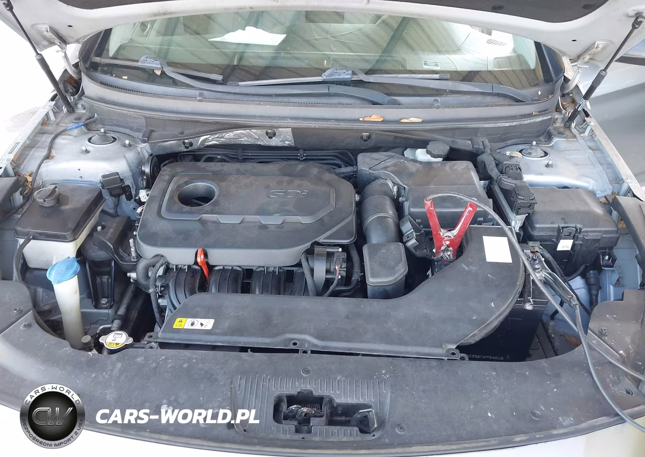 2015 Hyundai Sonata Se VIN:5NPE24AF9FH214894 - 10