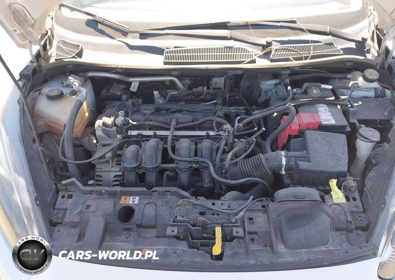 2014 Ford Fiesta Se VIN:3FADP4BJ7EM220675 - 10