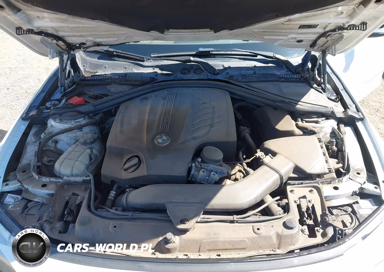 2016 BMW 435I Gran Coupe VIN:WBA4B1C56GG242329 - 10