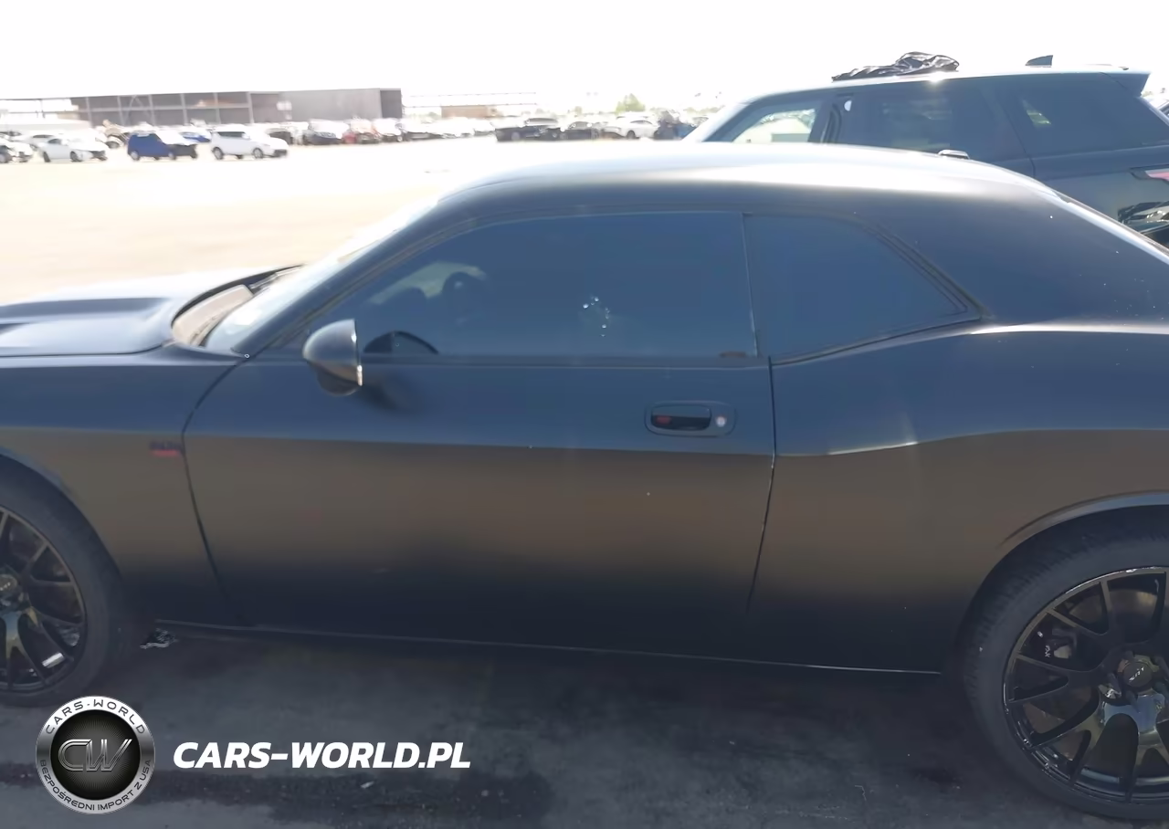 2009 Dodge Challenger Se VIN:2B3LJ44V59H522480 - 14
