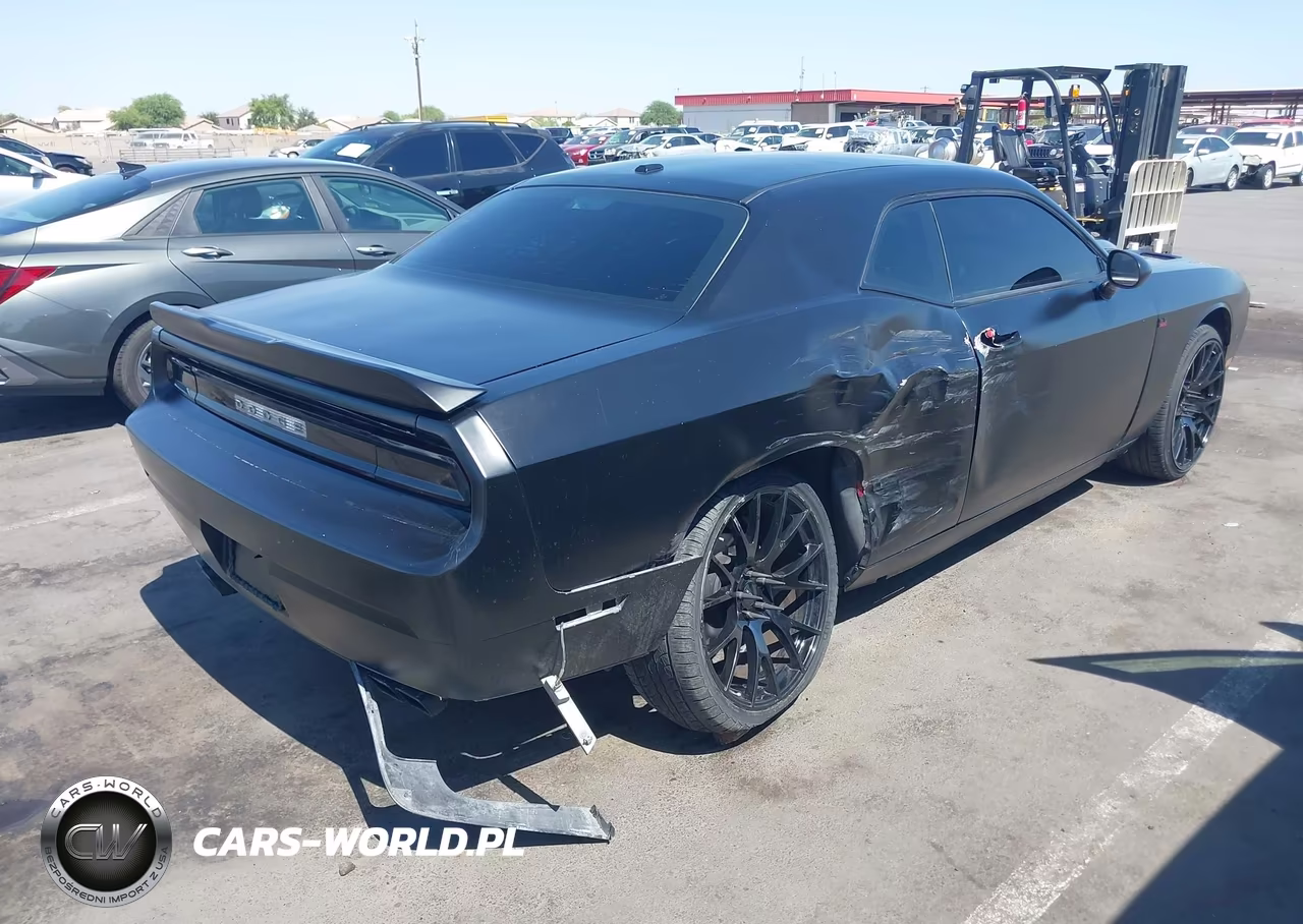 2009 Dodge Challenger Se VIN:2B3LJ44V59H522480 - 4
