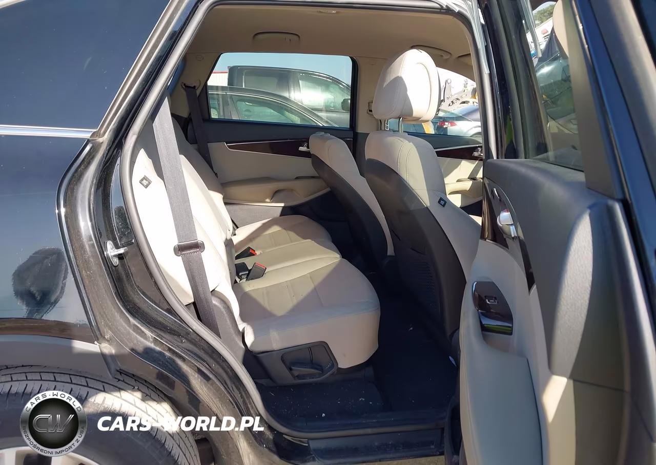 2016 Kia Sorento 2.4L Lx VIN:5XYPG4A32GG100812 - 8