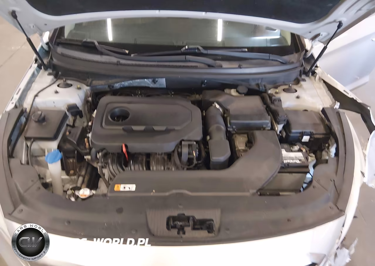 2015 Hyundai Sonata Se VIN:5NPE24AF3FH244019 - 10