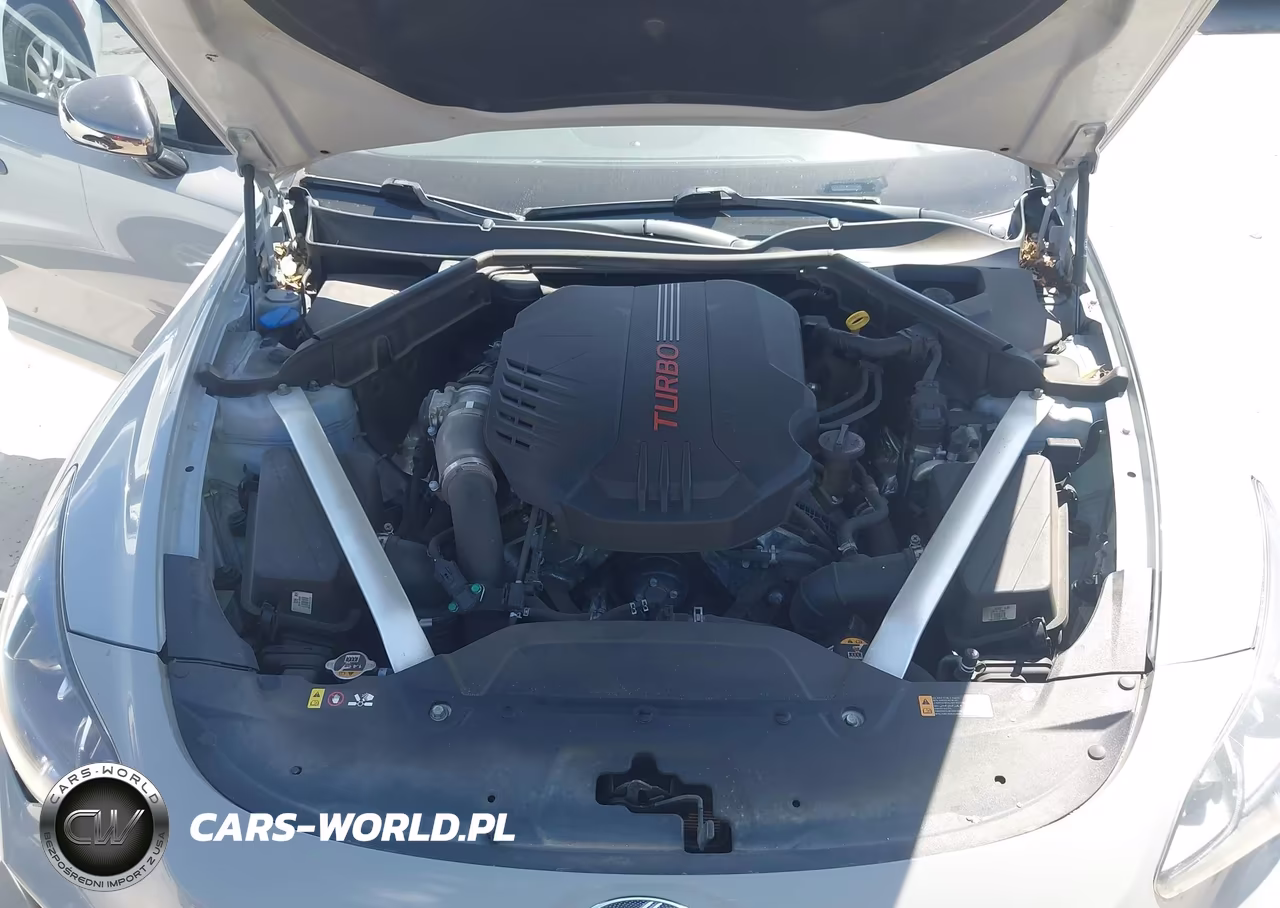2020 Kia Stinger Gt1 VIN:KNAE45LC3L6077554 - 10