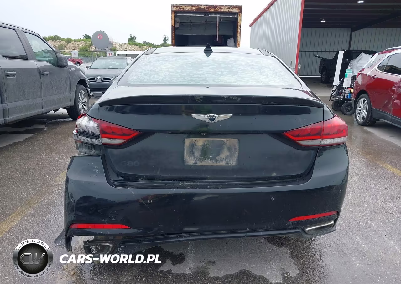 2017 Genesis G80 3.8 VIN:KMHGN4JE7HU192924 - 17