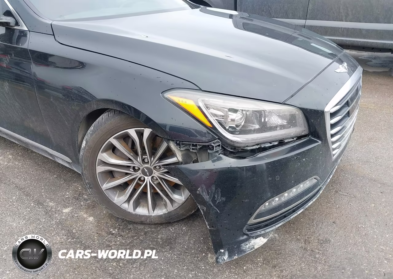 2017 Genesis G80 3.8 VIN:KMHGN4JE7HU192924 - 19
