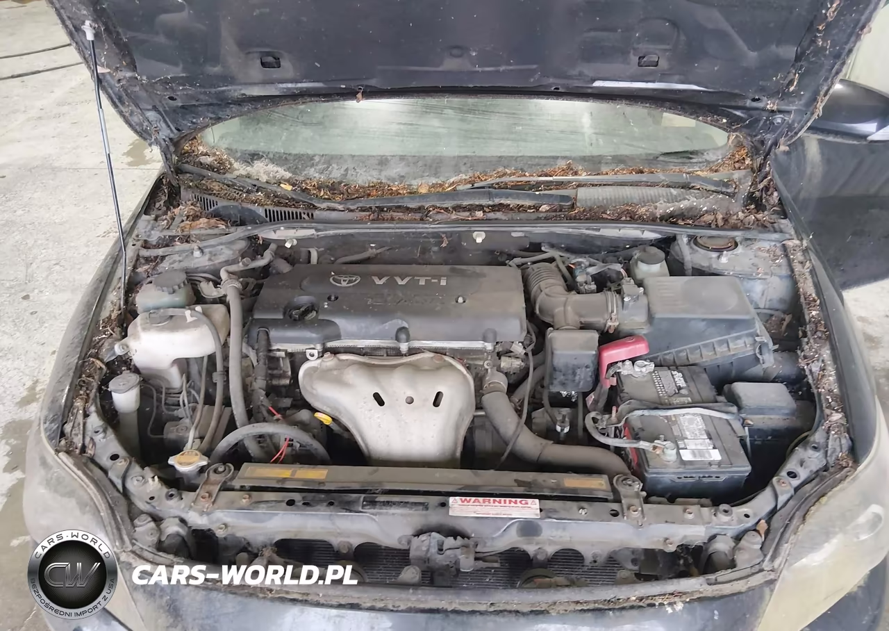 2010 Scion Tc VIN:JTKDE3B7XA0311282 - 10