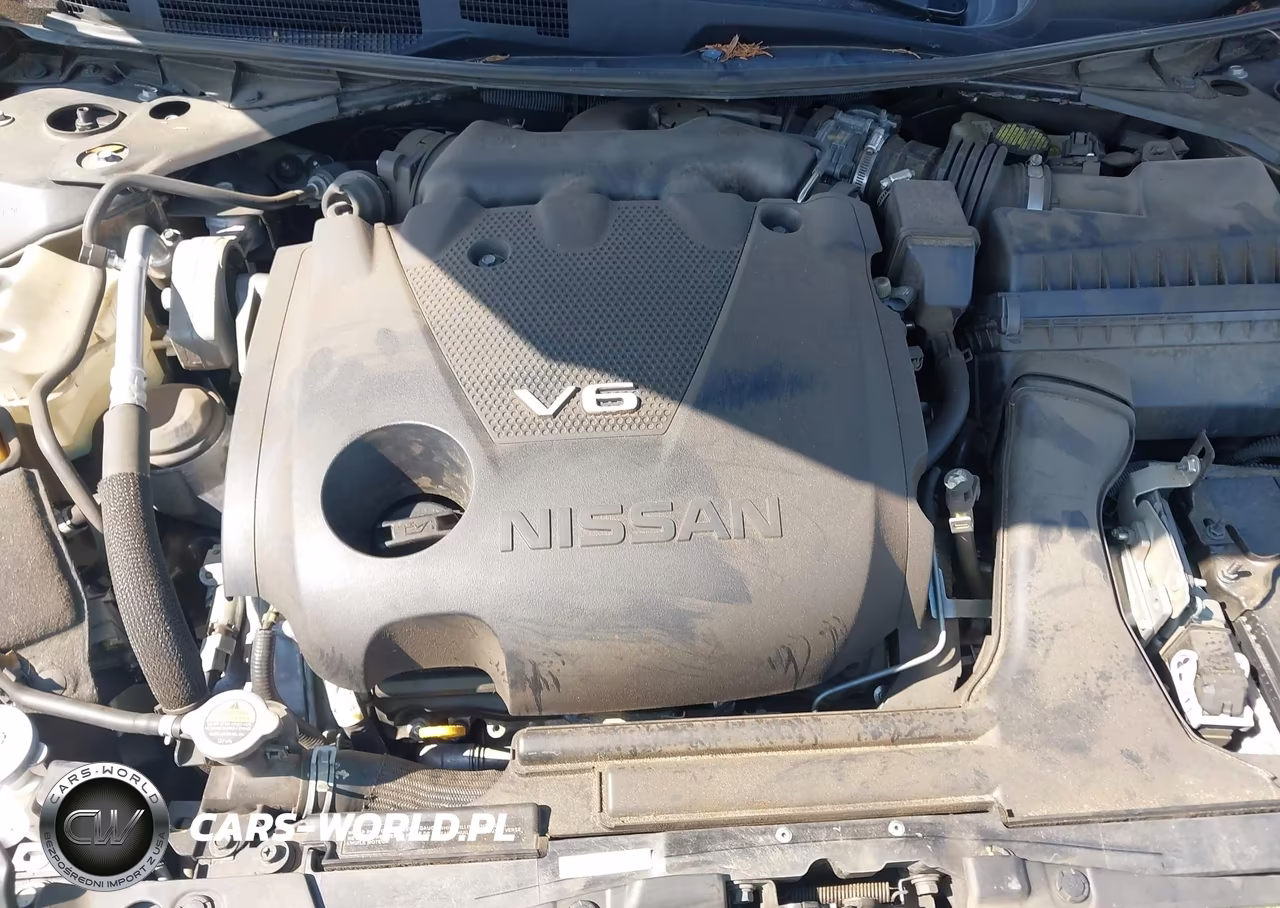 2016 Nissan Maxima 3.5 Sr VIN:1N4AA6AP8GC389808 - 10
