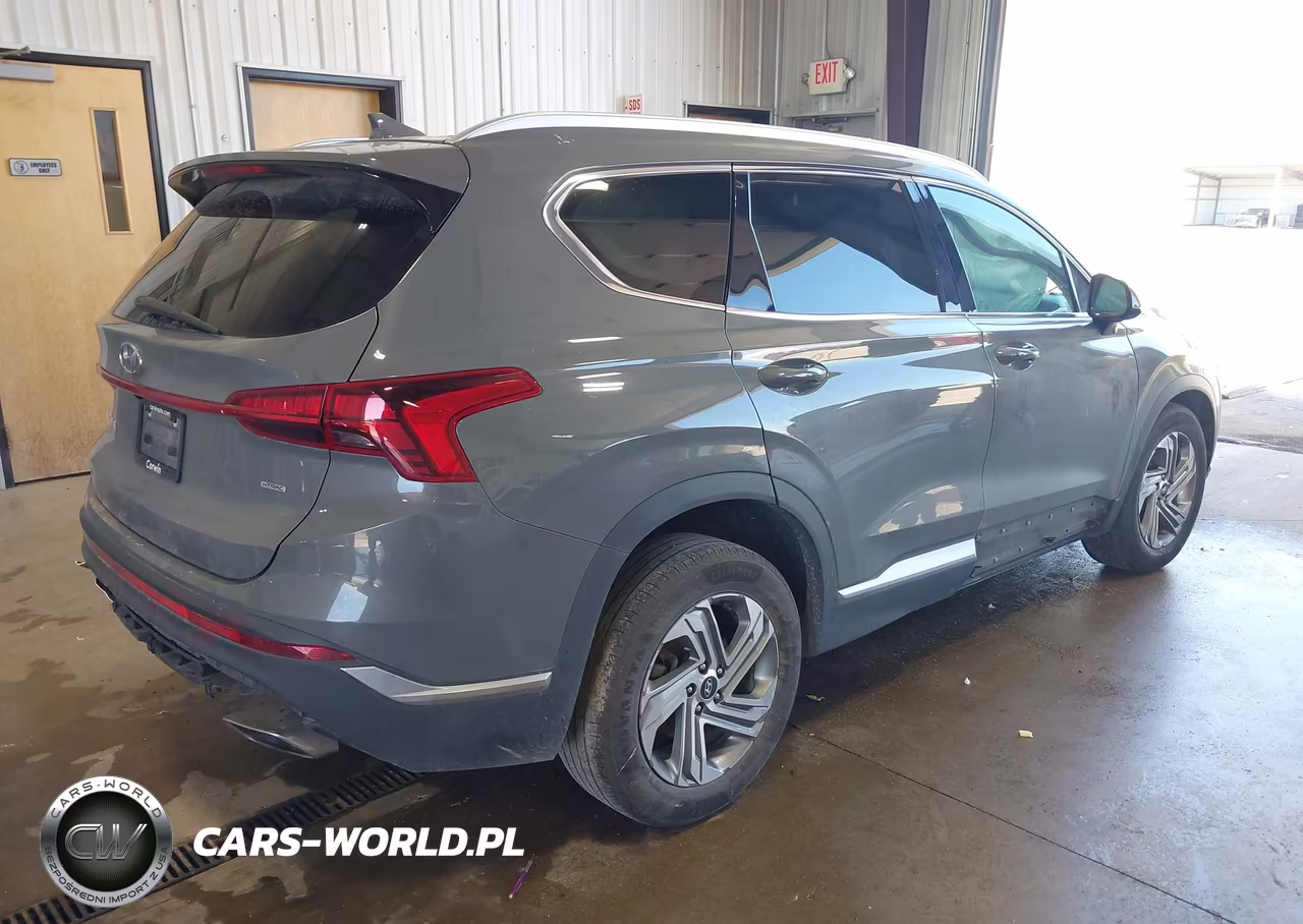 2022 Hyundai Santa Fe Sel VIN:5NMS2DAJ1NH459322 - 4