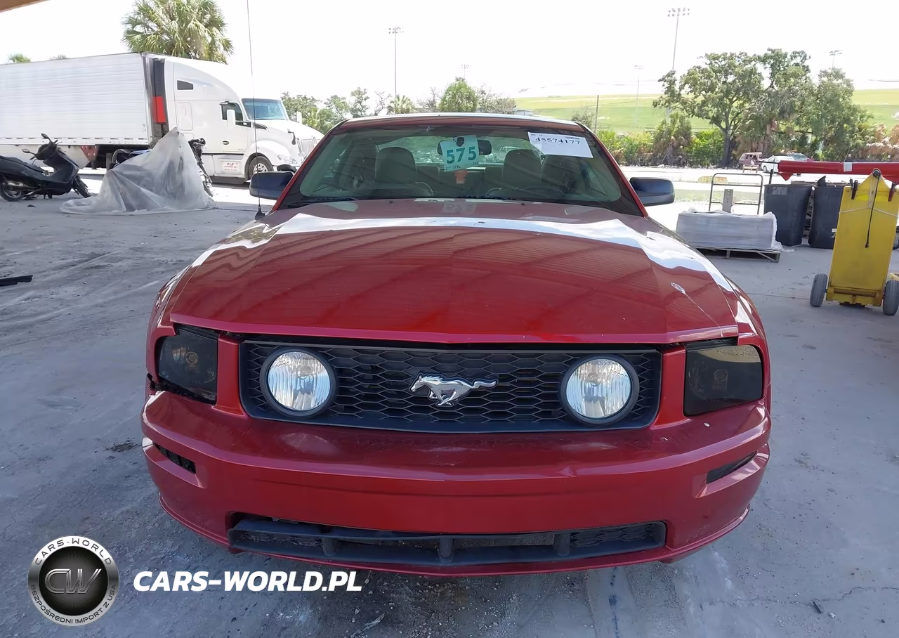 2008 Ford Mustang Gt Deluxe-Gt Premium VIN:1ZVHT82H785147522 - 12