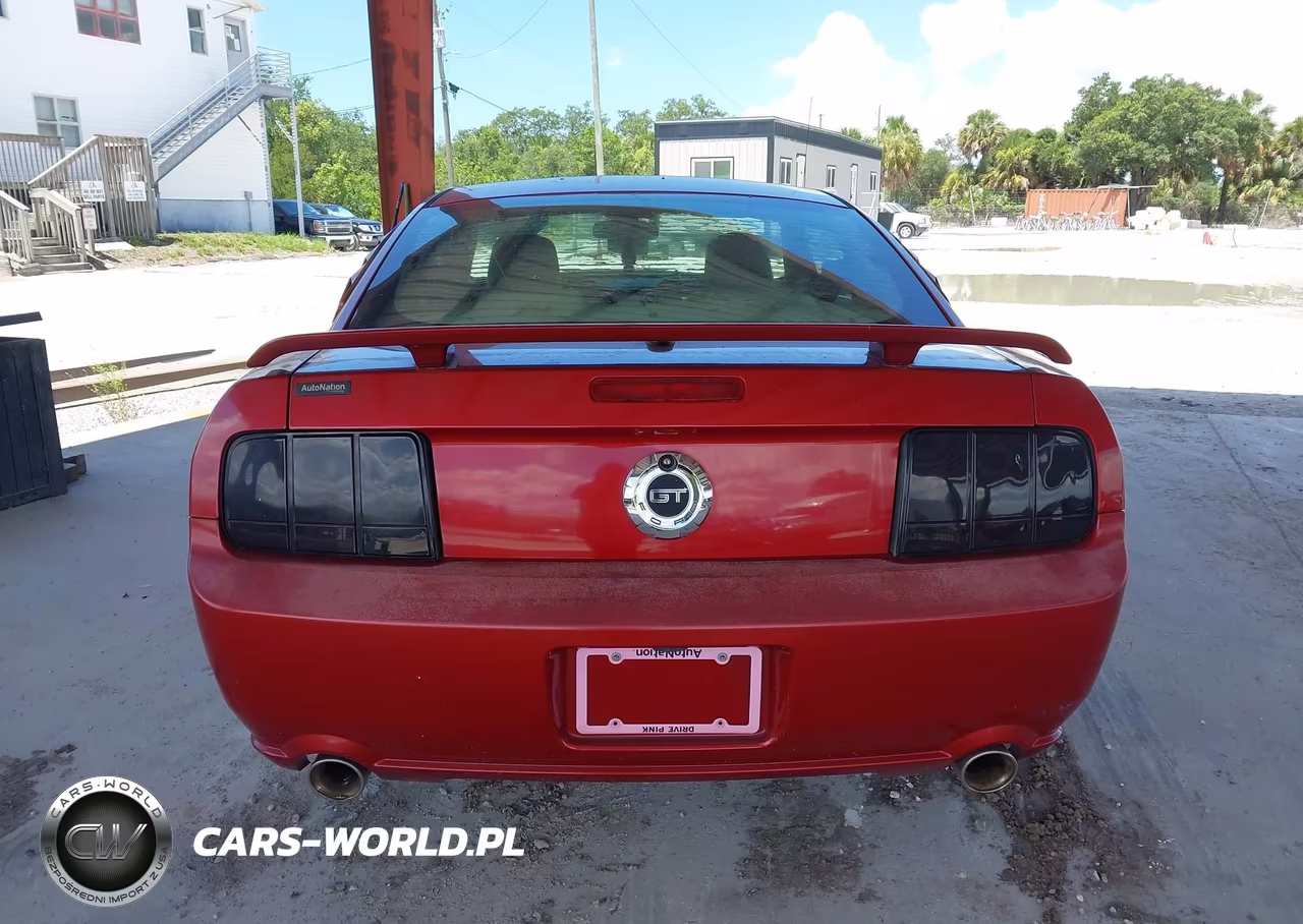 2008 Ford Mustang Gt Deluxe-Gt Premium VIN:1ZVHT82H785147522 - 16