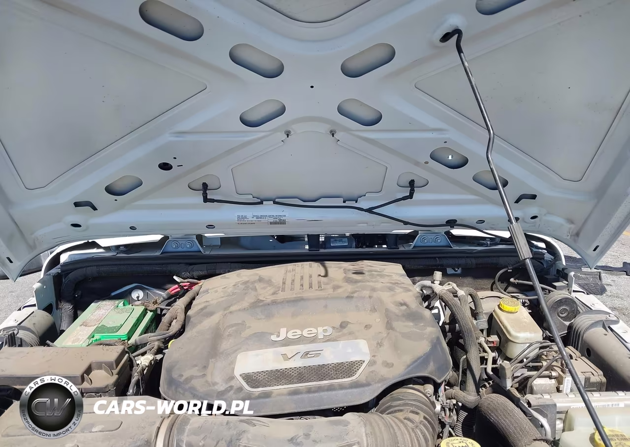 2016 Jeep Wrangler Unlimited Willys Wheeler VIN:1C4BJWDG5GL240119 - 10