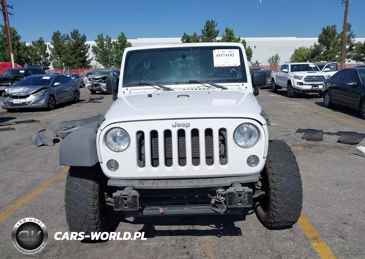 2016 Jeep Wrangler Unlimited Willys Wheeler VIN:1C4BJWDG5GL240119 - 13