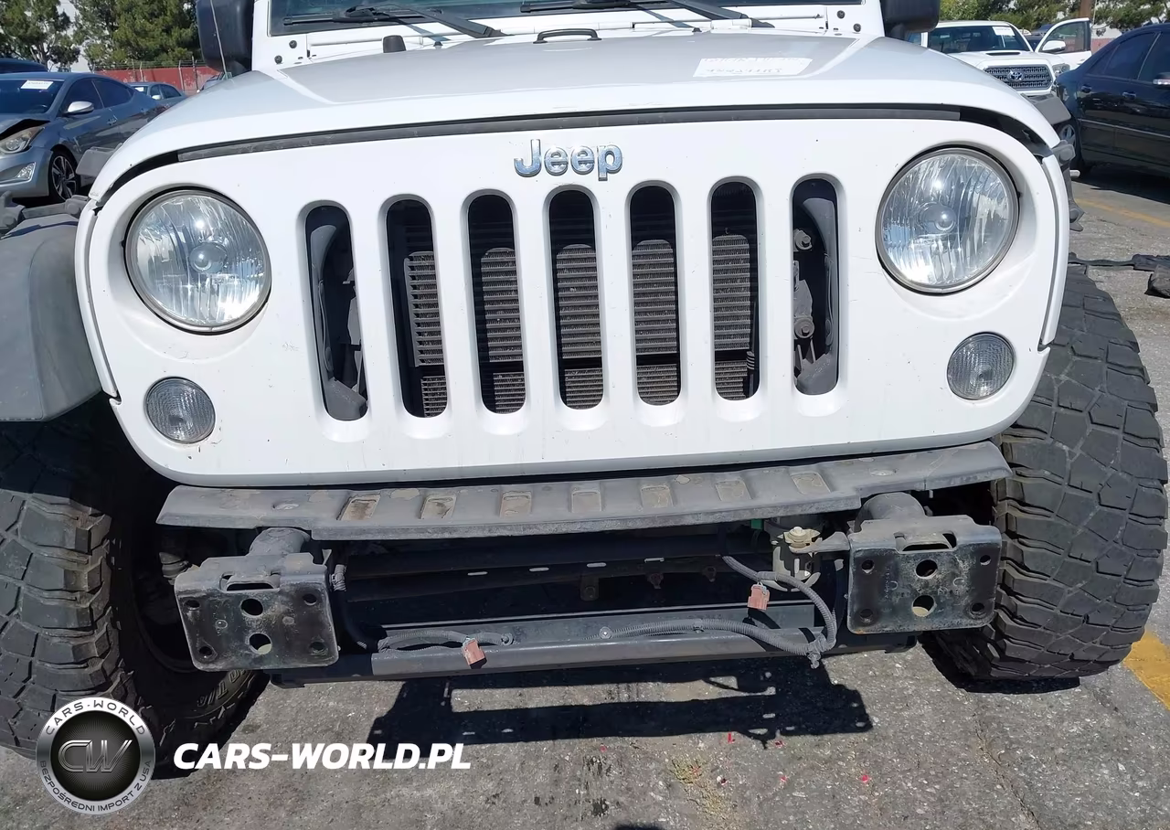 2016 Jeep Wrangler Unlimited Willys Wheeler VIN:1C4BJWDG5GL240119 - 6