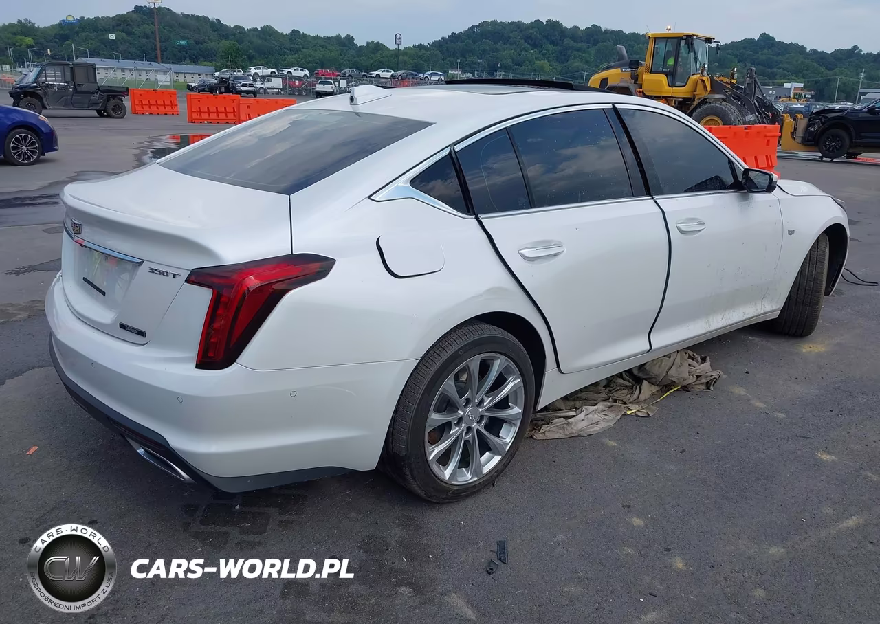 2020 Cadillac Ct5 Premium Luxury VIN:1G6DT5RK6L0120760 - 4