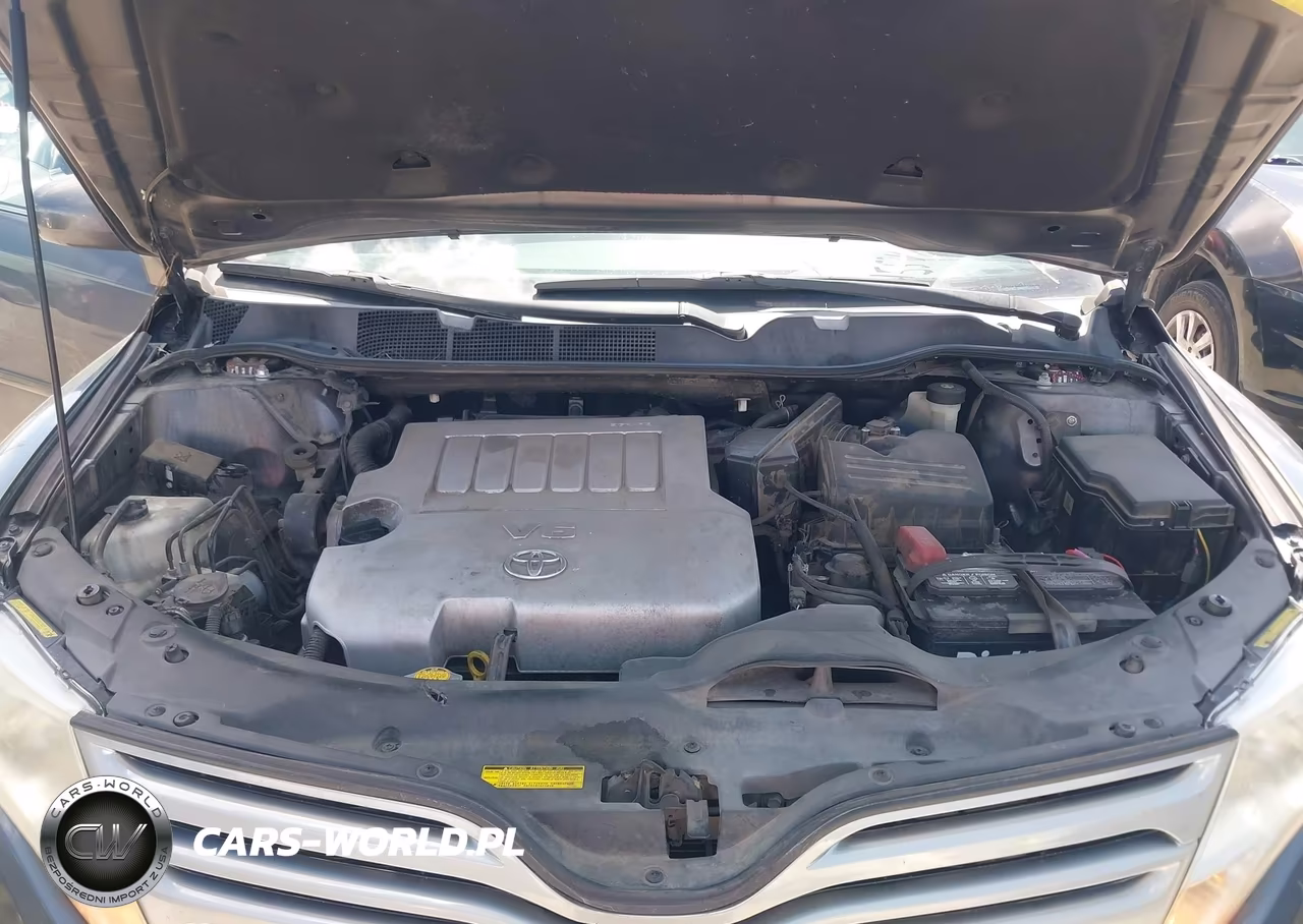2009 Toyota Venza Base V6 VIN:4T3ZK11A29U009161 - 10