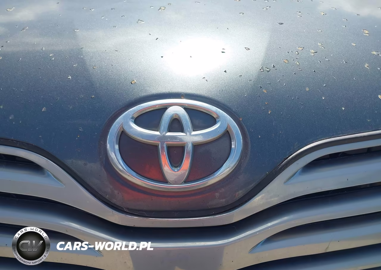 2009 Toyota Venza Base V6 VIN:4T3ZK11A29U009161 - 6