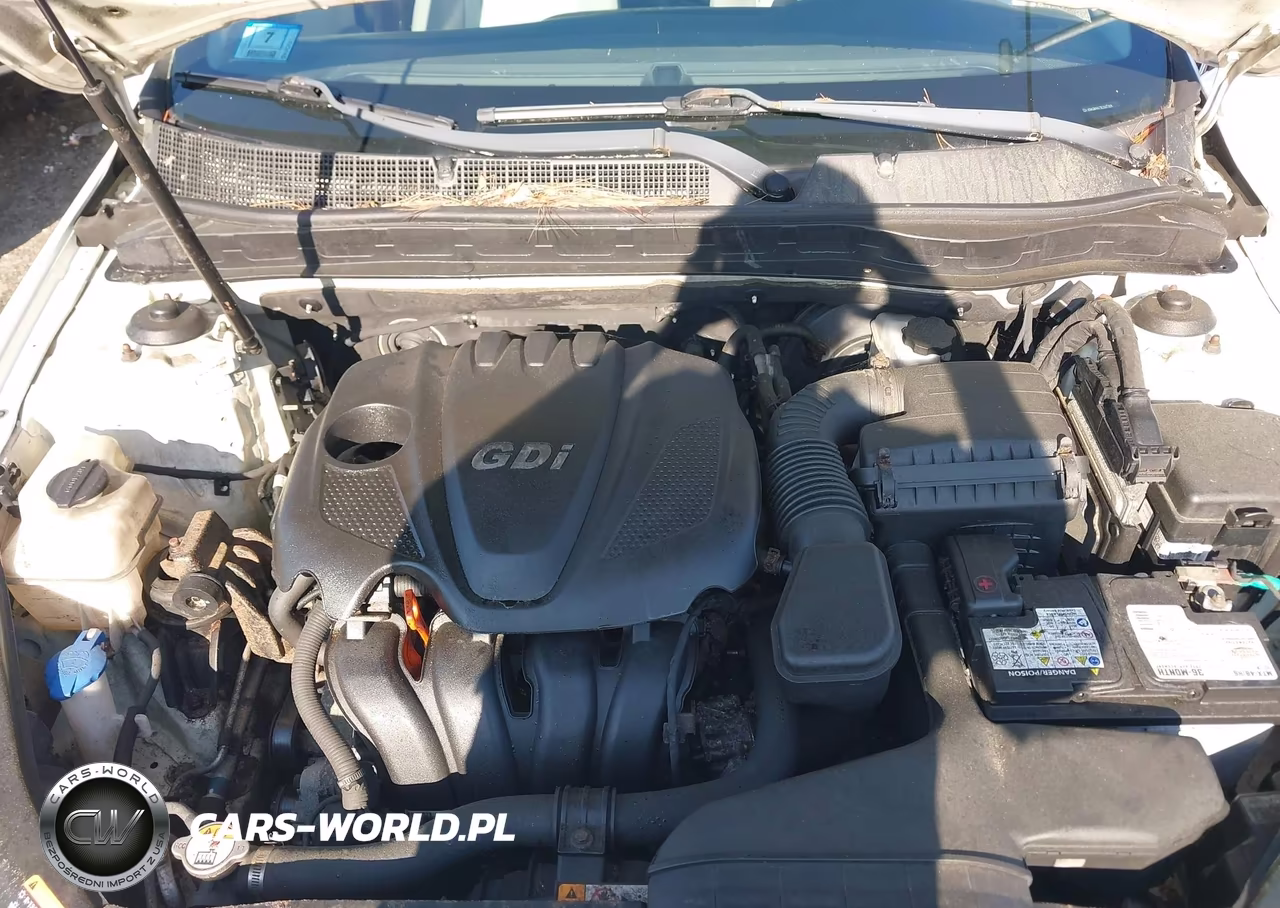2014 Kia Optima Lx VIN:KNAGM4A71E5507891 - 10