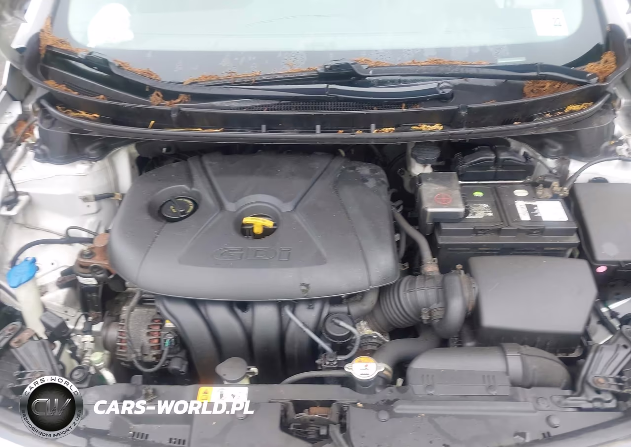 2017 Hyundai Elantra Gt VIN:KMHD35LH3HU369376 - 10