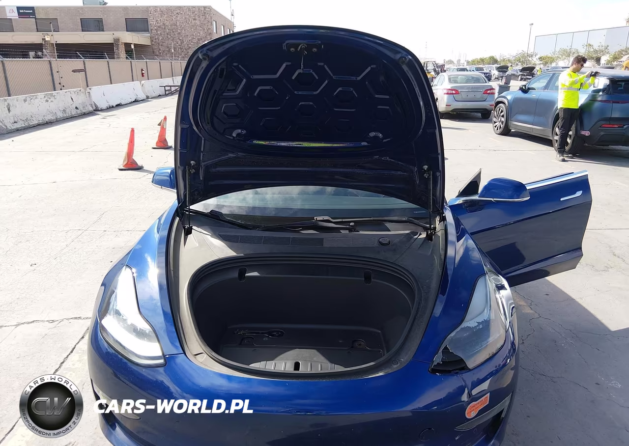 2020 Tesla Model 3 Standard Range Plus Rear-Wheel Drive-Standard Range Rear-Wheel Drive VIN:5YJ3E1EA2LF633949 - 10