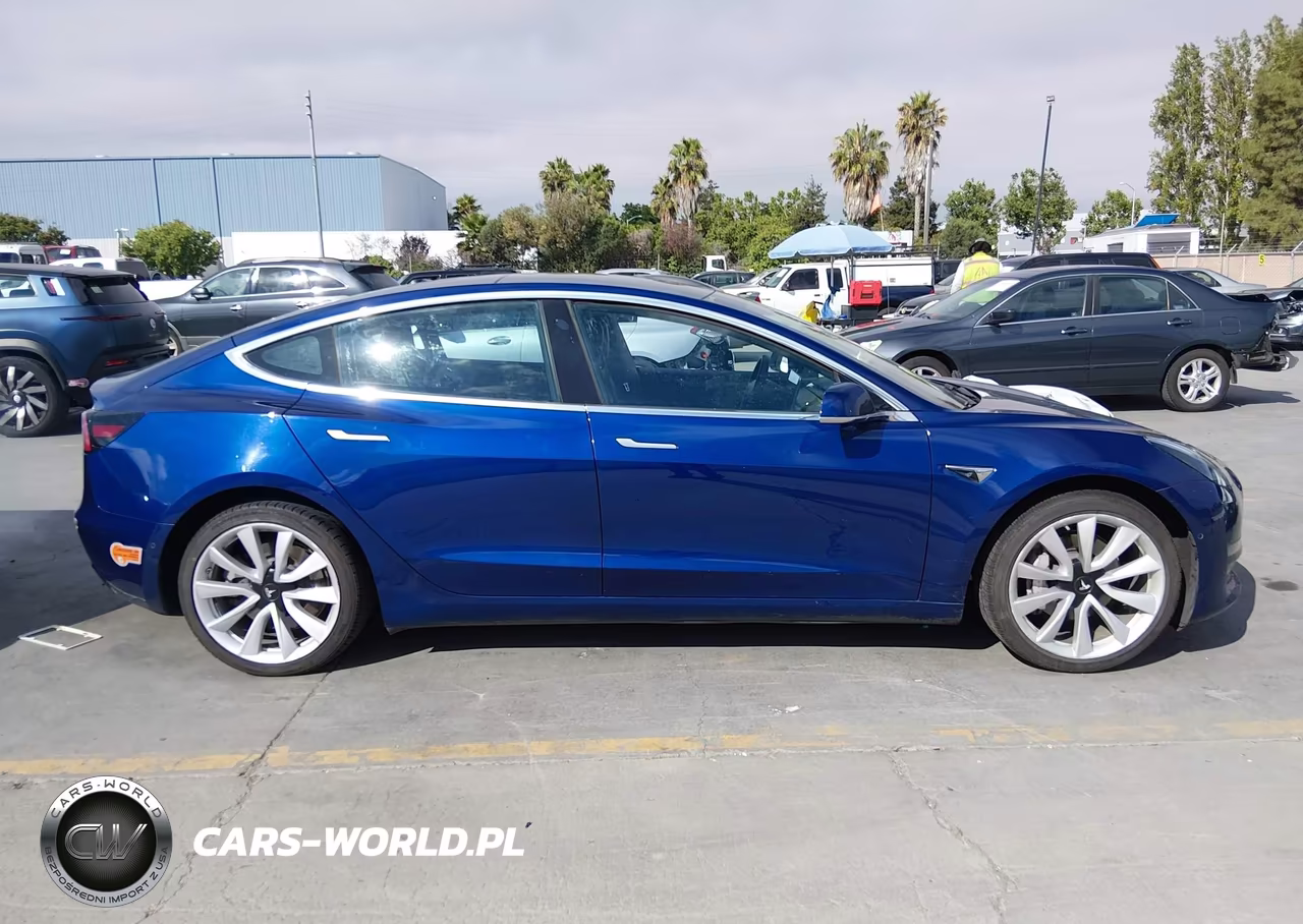 2020 Tesla Model 3 Standard Range Plus Rear-Wheel Drive-Standard Range Rear-Wheel Drive VIN:5YJ3E1EA2LF633949 - 12